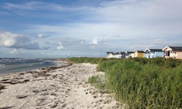 Domy wakacyjne w mieście Skanör med Falsterbo