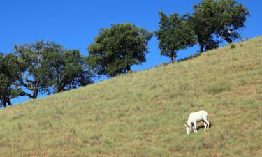 Hotels with Parking in Figueiredo das Donas