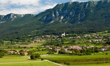 B&Bs in Vipava