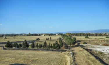 Guest Houses in Sestu