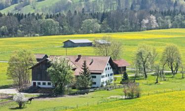 Cheap Hotels in Waldkraiburg