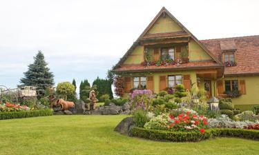 Hoteles con estacionamiento en Birkenwald