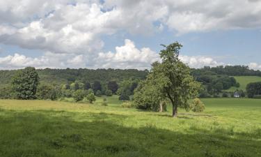 Bed and Breakfasts en Peer