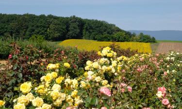 Hoteles en Avenches