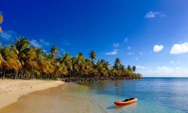 Hoteles familiares en Old Road