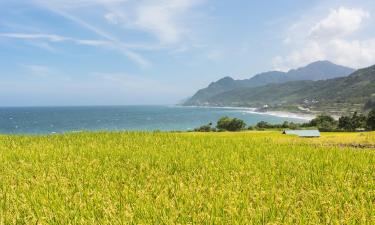 Hoteles familiares en Fengbin