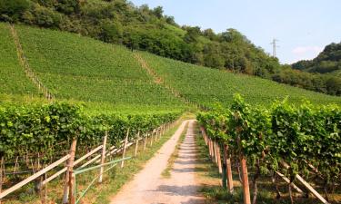 Appartamenti a Pieve Di Ledro