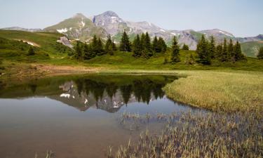 Hoteles familiares en Bourg-Saint-Pierre