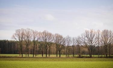 Departamentos en Haidmühle