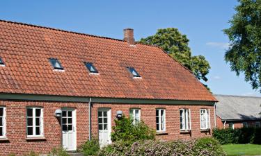 Cottages in Ansager