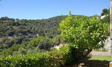 Ubytování v soukromí v destinaci Mont Barbat