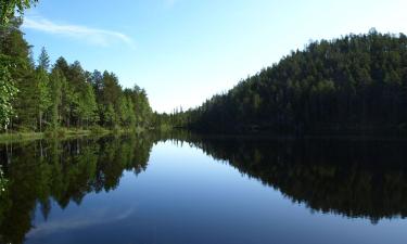 Loma-asunnot Petäjävedellä