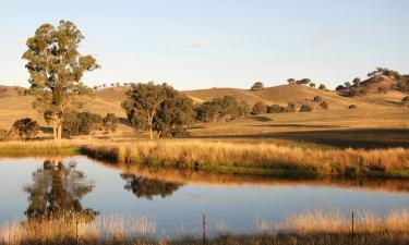 Kotedžai mieste Yarra Junction