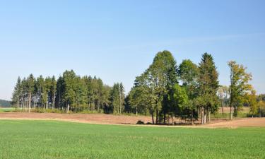 Hotell med parkering i Mauerkirchen