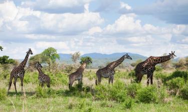 Accessible Hotels in Mikumi National Park