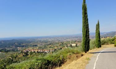 Holiday Rentals in Petrognano