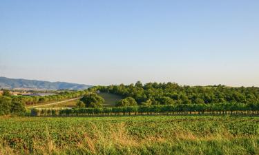 Hotels amb aparcament a Badia