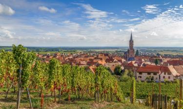 Goedkope hotels in Dambach