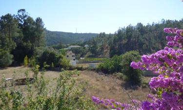 Hotels amb aparcament a Venda do Pinheiro