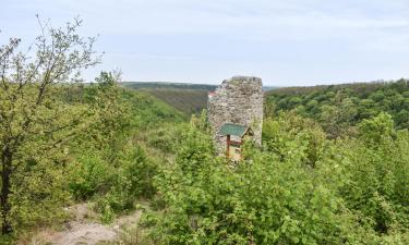 Ваканционни жилища в Sály