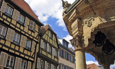 Logements avec cuisine à Brunstatt