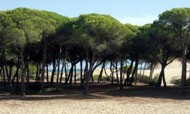 Allotjaments vacacionals a Lucena del Puerto