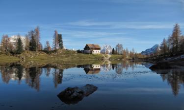 Apartmány v destinaci Borca di Cadore