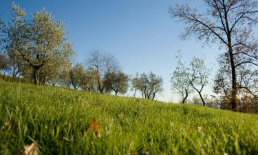 Monsummano şehrindeki tatil evleri