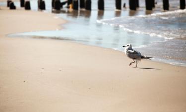 Alloggi vicino alla spiaggia a Unieście