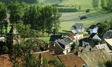 Hotell i Esch-sur-Alzette