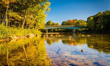 Hôtels pour les familles à Conway