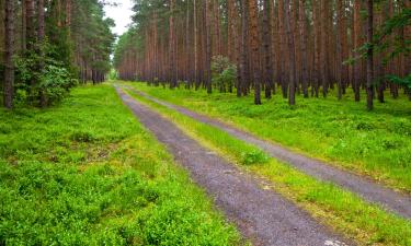 Familiehoteller i Biskupiec