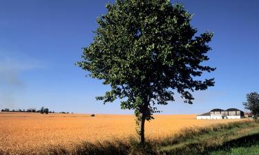 Horseheath şehrindeki otoparklar