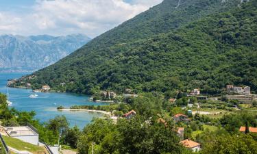 Hotels que accepten animals a Donji Morinj