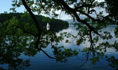 Bed and breakfasts en Balmaha