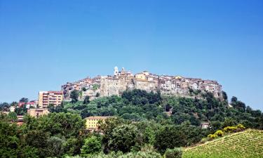 Bed and breakfasts en Orte