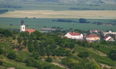 Wellness hotely vo Veľkých Pavloviciach