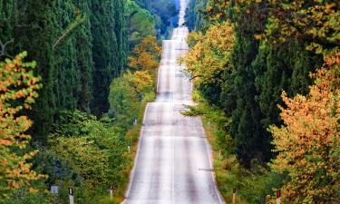 Farm Stays in Bolgheri