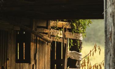 Cottages in Kodak