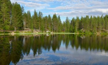 โรงแรมที่มีที่จอดรถในTolosenmäki