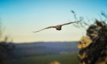 Parkolóval rendelkező hotelek Ahlsdorfban