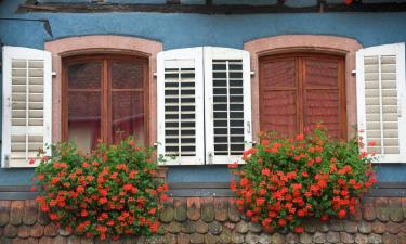 Holiday Rentals in Mittelhausen