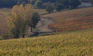 B&B-uri în Montefalco