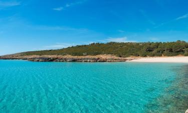 Hotéis em Ses Salines