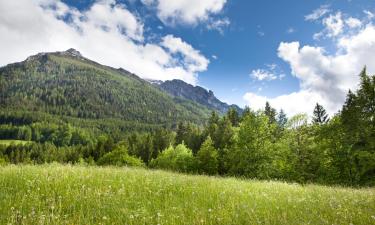 Hoteles familiares en Lenzburg