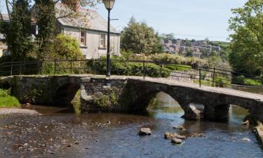 Hoteles que admiten mascotas en Launceston