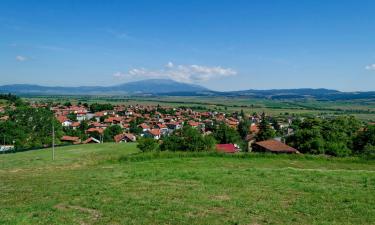 Hotels in Belchin