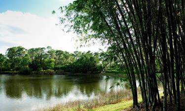 Alquileres temporarios en Toyonaka