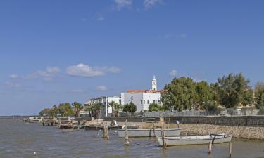 Bed and Breakfasts en Lesina