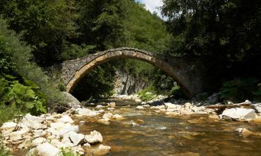 Hoteles familiares en Yagodina